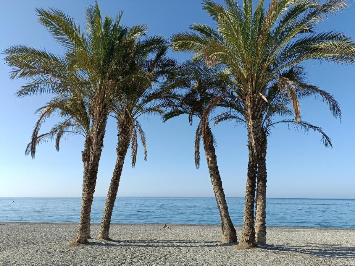 Maravilla Tropical - La Herradura Apartment Almunecar